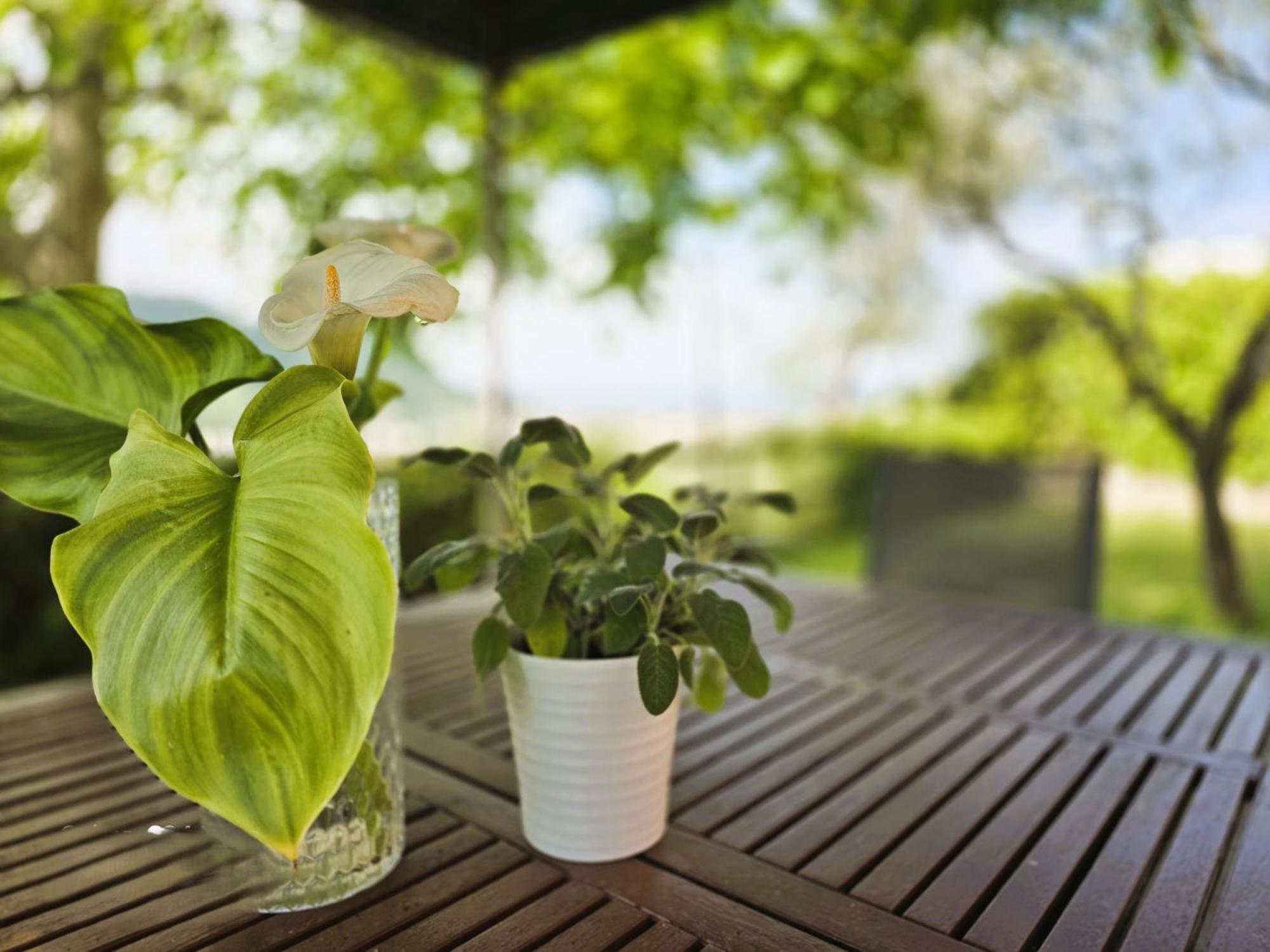 Relais Villa Olivi Костермано Екстериор снимка